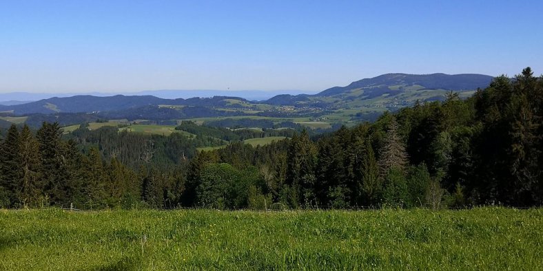 St. Märgen und Region Feldberg